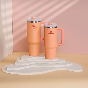 Brand New Stanley tumbler in Nectarine